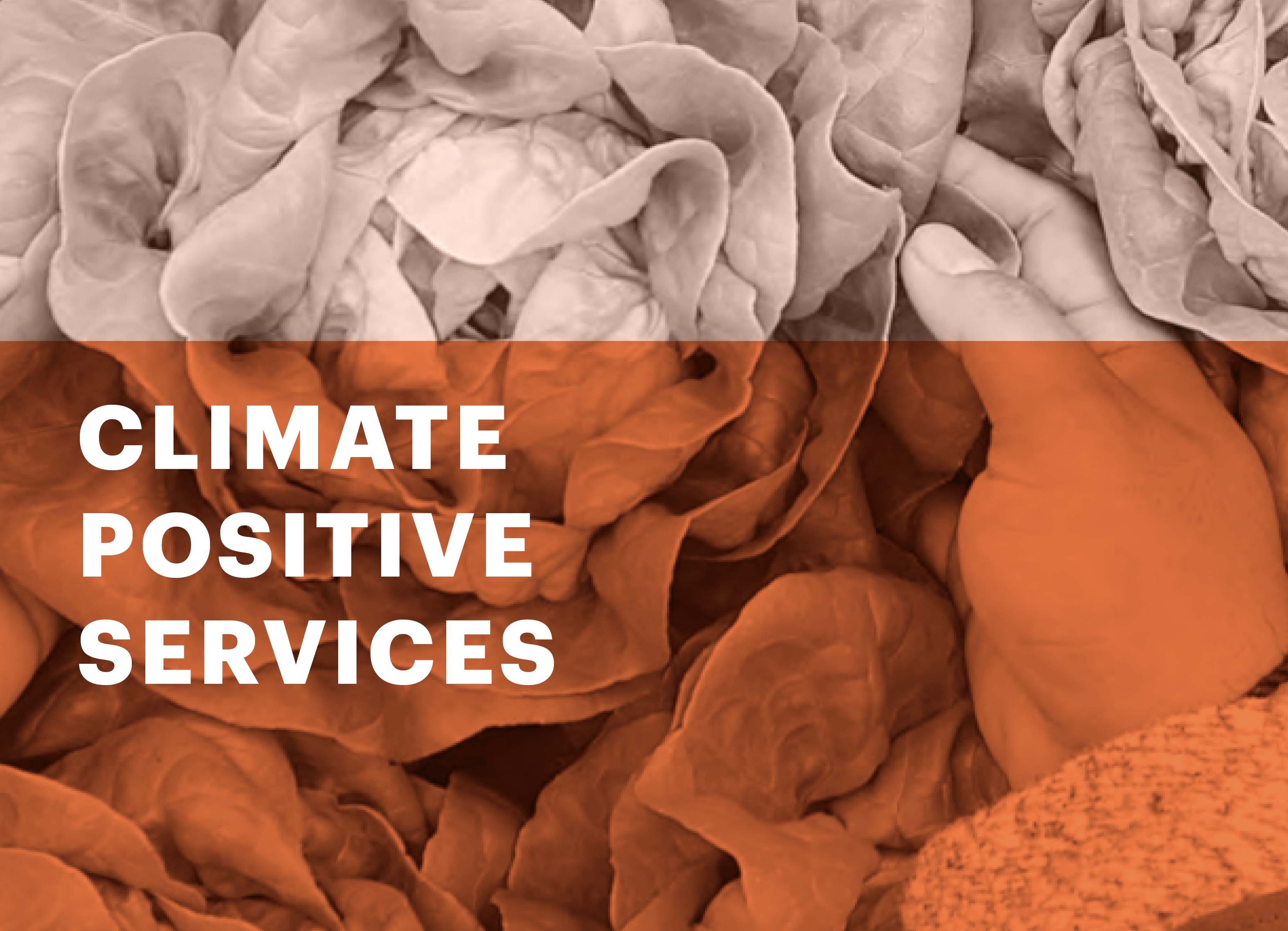 Climate Positive Services