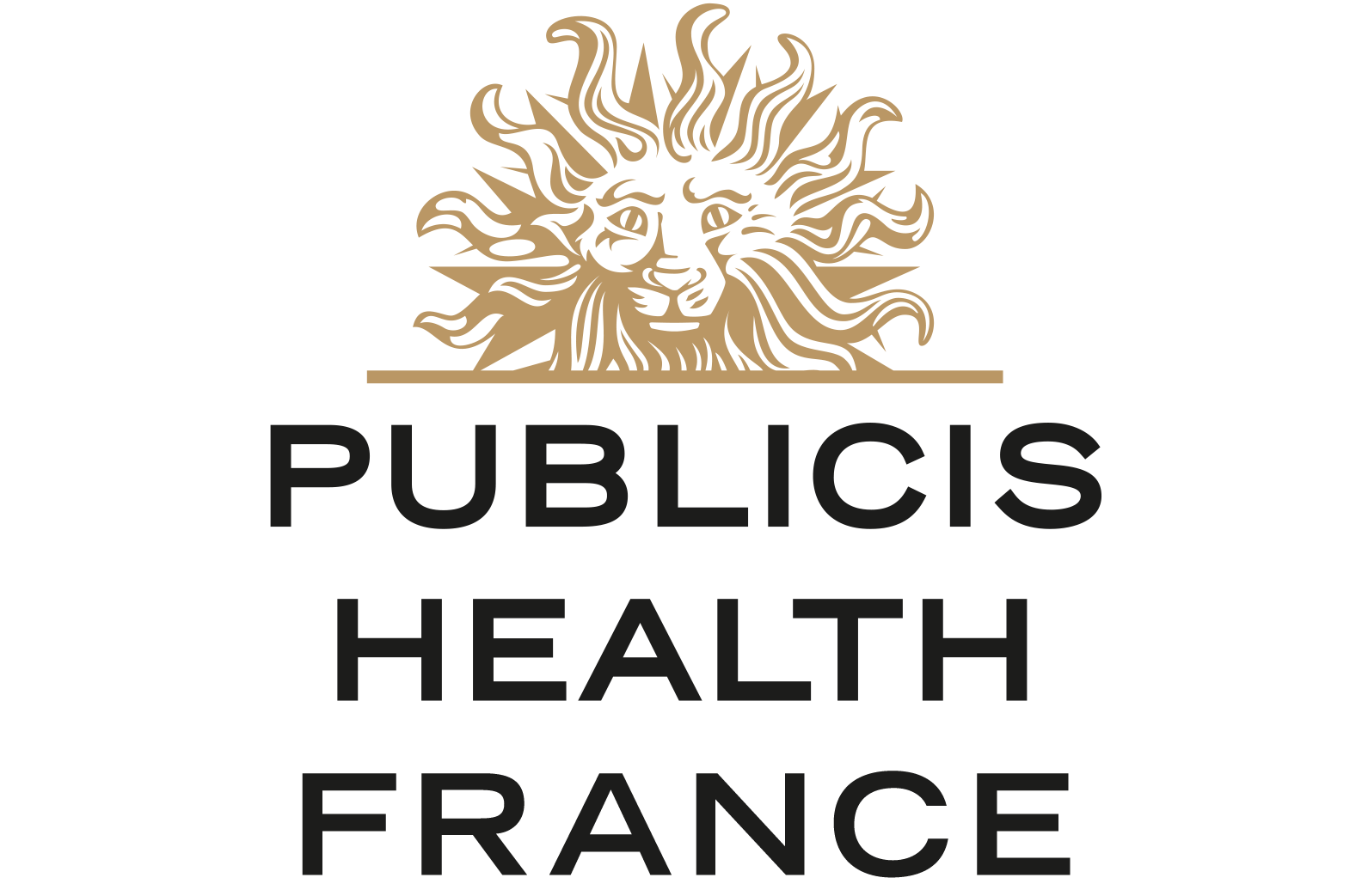 Publicis Health France Logo